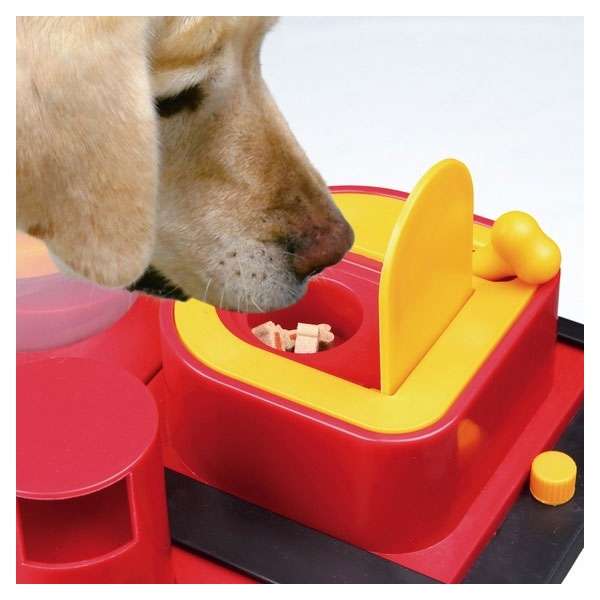 Trixie Dog Activity Poker Box 2 – Bild 4
