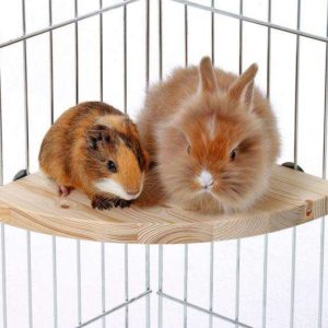 Karlie Holz-Sitzecke - Klein