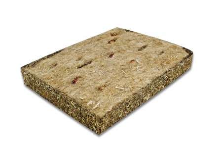 JR FARM Back to Instinct Aktiv-Teppich – Bild 3