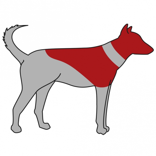 Trixie Schutzkragen, aufblasbar - XXS – Bild 4