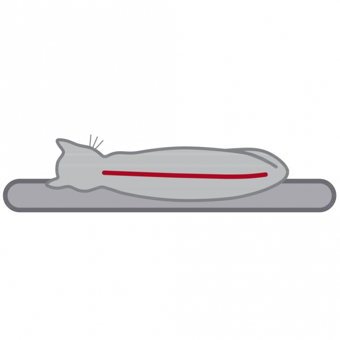 Trixie Senioren-Kratzbaum Emil - braun – Bild 5